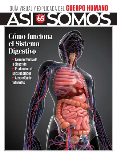 36d4929ff4a04cd8a045ae43d94de852-16453412446300292619.webp