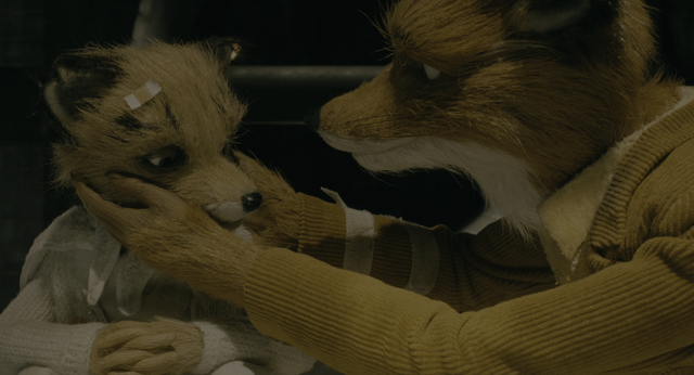 fox1.png