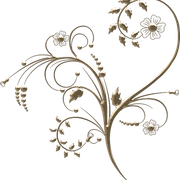 0-c1c40-69e3f2cd-L