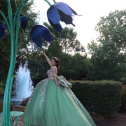 IMG-7350