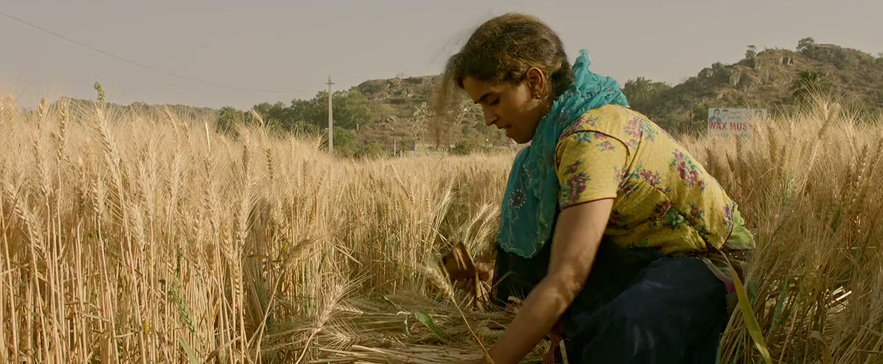 Pataakha Screenshot