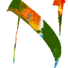 14 556964