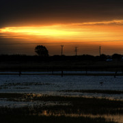 DSCN4824