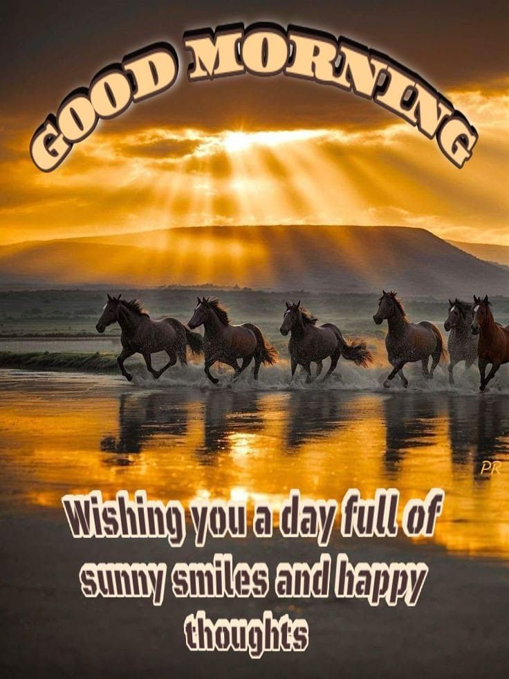 sunny1