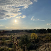 IMG 0411