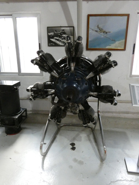 P1060561-Copy.jpg