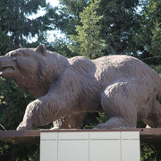 IMG 3517