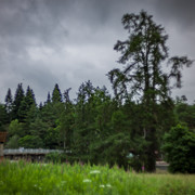 L1461265
