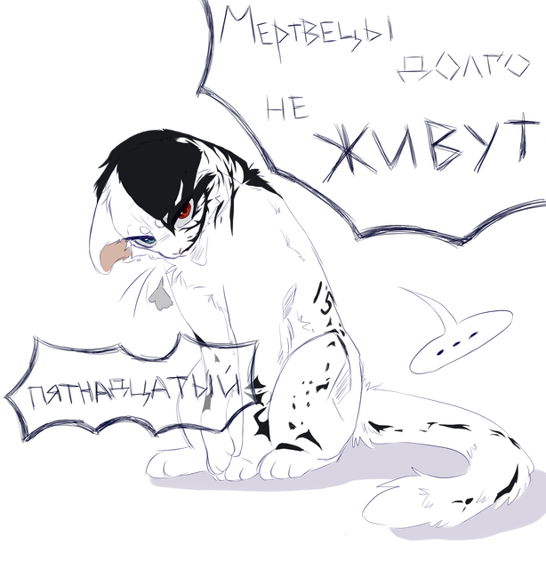 пятнашка 1.png