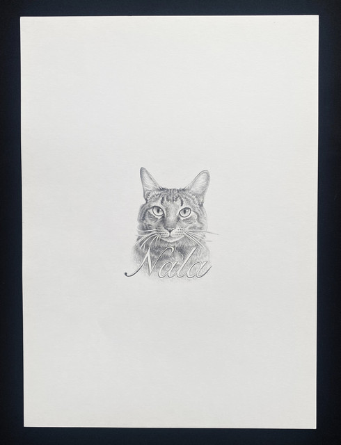 Nala — retrato completo
