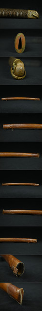 DSC3141.jpg