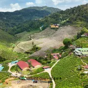 Cameron Valley16
