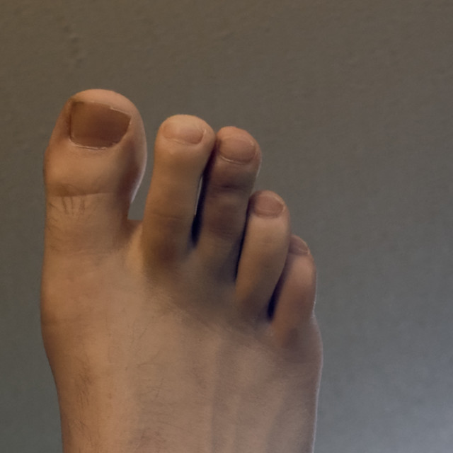 IMG 7131