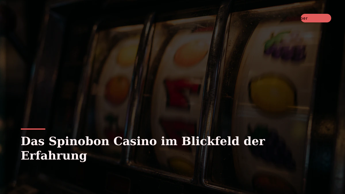 Das Spinobon Casino im Blickfeld der Erfahrung