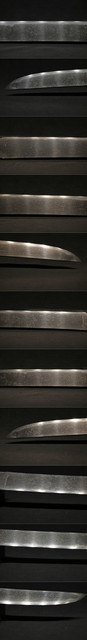 DSC0697.jpg