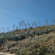 20250910-165300