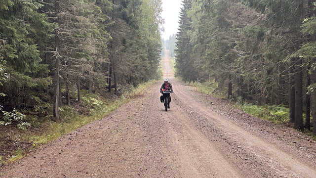IMG 4520.jpg