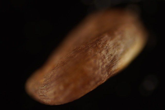 DSC01634.jpg