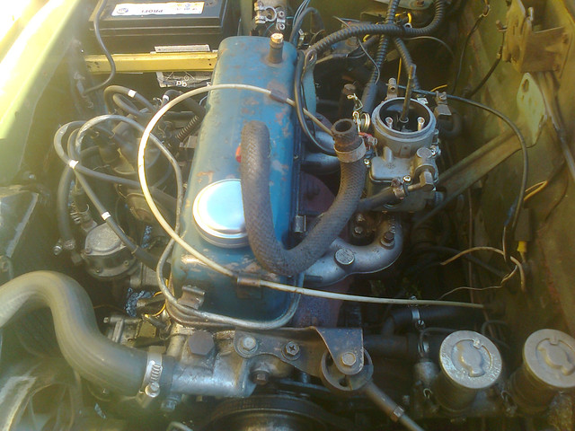 Kuva0556