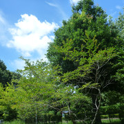 P1330875