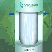 purify