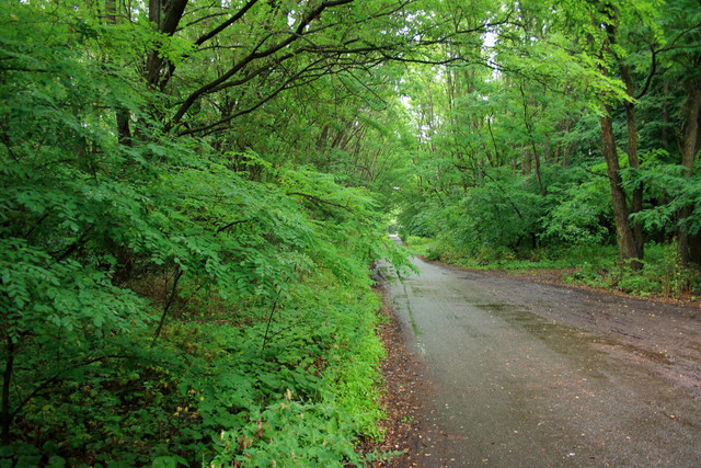 IMG-6084.jpg