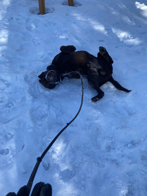 F9211928-BD10-4-BE9-8-CBC-9-AE4869-DECFA