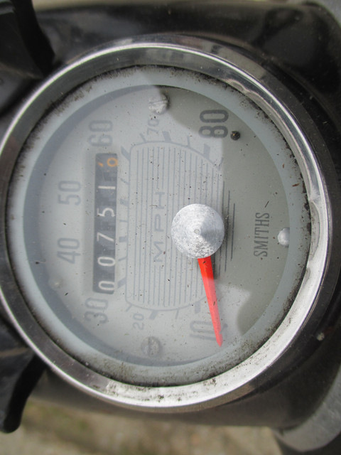 IMG-4074.jpg