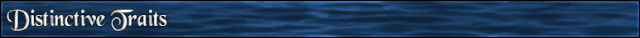 Request-annals-headers-1-distinctive-traits.gif