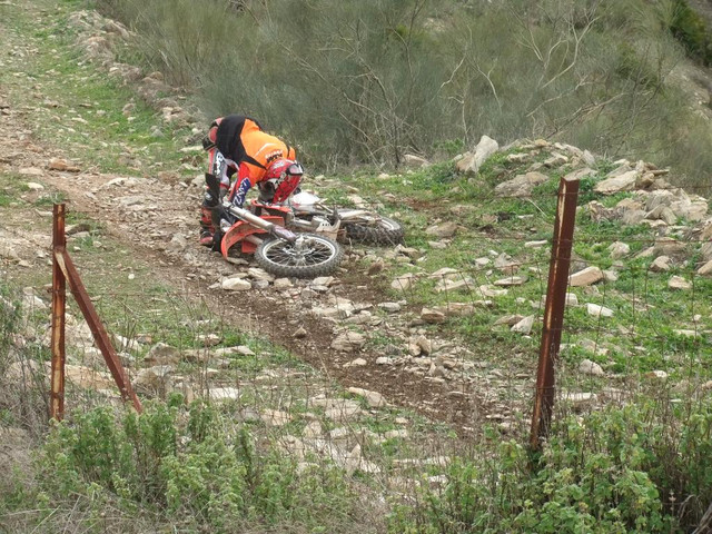 DSCF2114.jpg