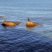 IMG-4171