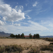IMG 7953