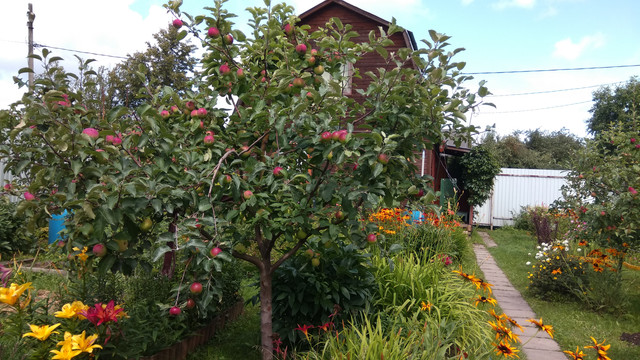 IMG-20190719-123736