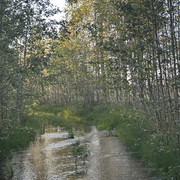 IMG 5466