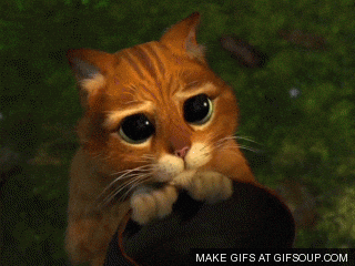 1000034818.gif