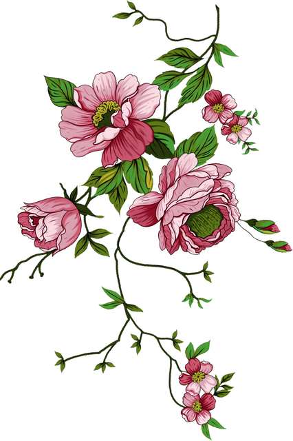 002e3eb44ef76c439885c368eb67f60d.png