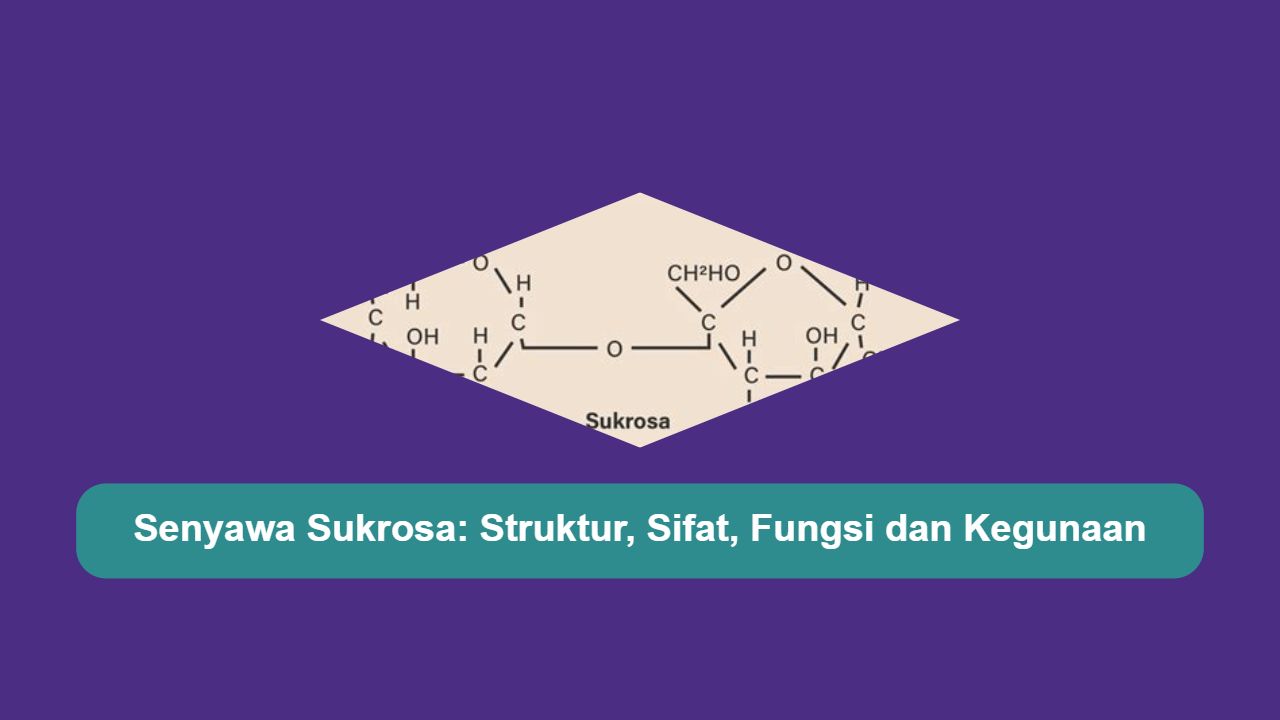 Senyawa Sukrosa: Struktur, Sifat, Fungsi dan Kegunaan