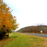 DSCN4991