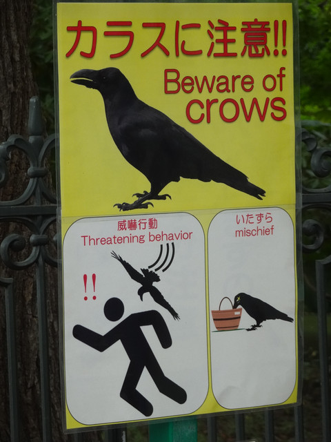 DSC03822.jpg