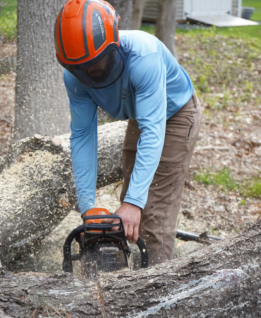 tree cutting service Double Oak TX