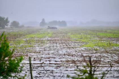 lluvia.avif lluvia.avif