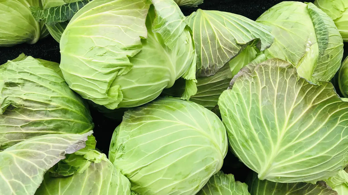Creamed Cabbage: A Richer Twist on a Classic