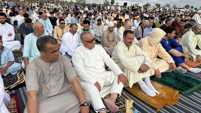 batch image00173