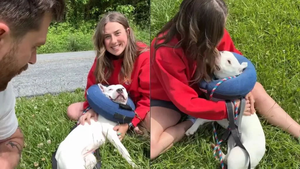Man Takes Girlfriend to Dog Shelter on Date