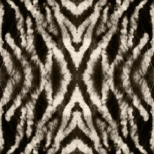 shutterstock 1454381750.jpg