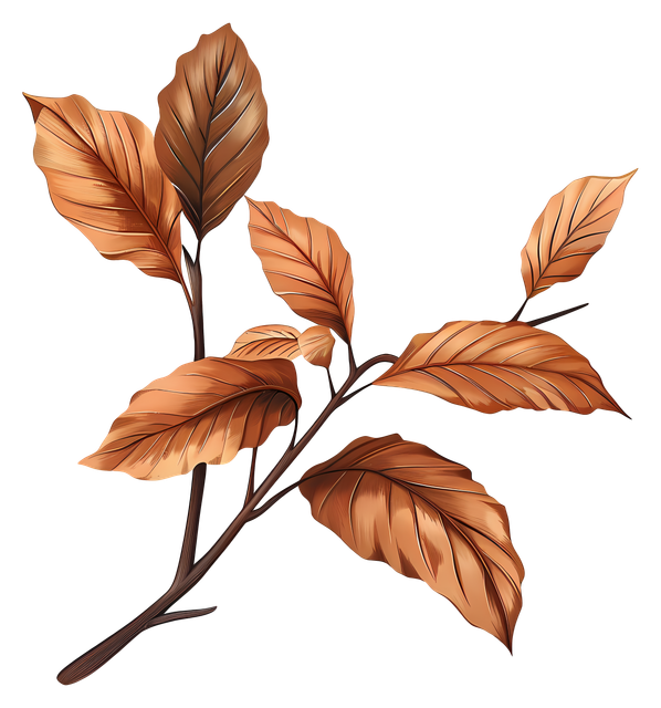 1dfdc8ece05e35ff7d8353421587fd01.png
