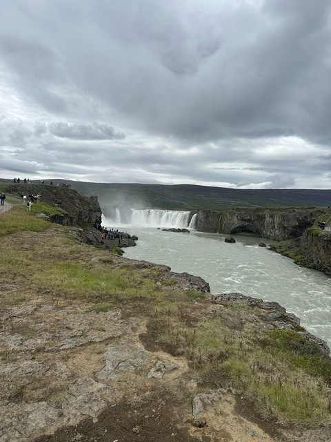 IMG-6676