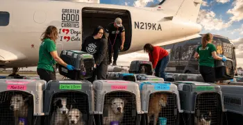 Hope Takes Flight: Saving At-Risk Pets
