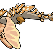 Gliding Panthercap