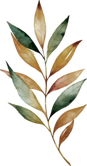 output (69) Copy.jpg